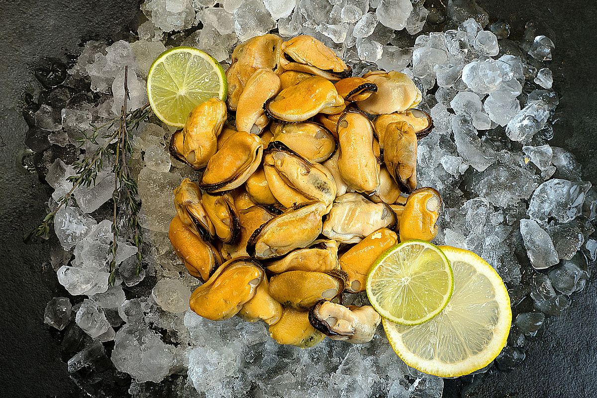 Muschelfleisch Indien