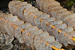Garnelenspieße